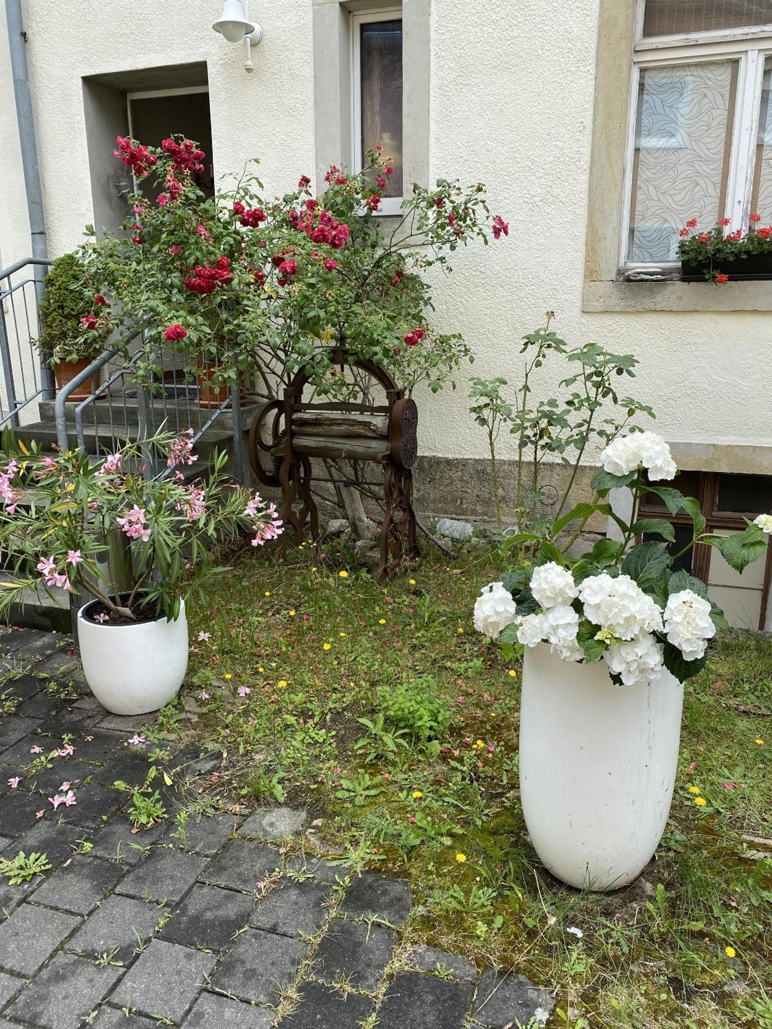 Apartments Und Zimmer Gaestehaus Matthias Drezda Kültér fotó